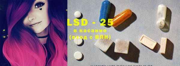 стаф Надым