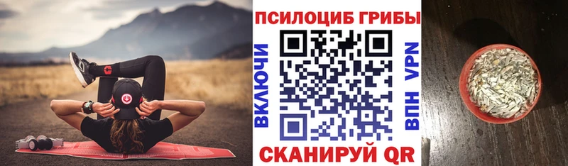 Псилоцибиновые грибы Cubensis  Куса 
